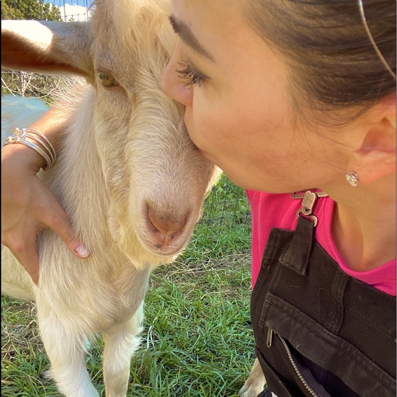 Meet your Posher, JJ - Picture 7 of 7